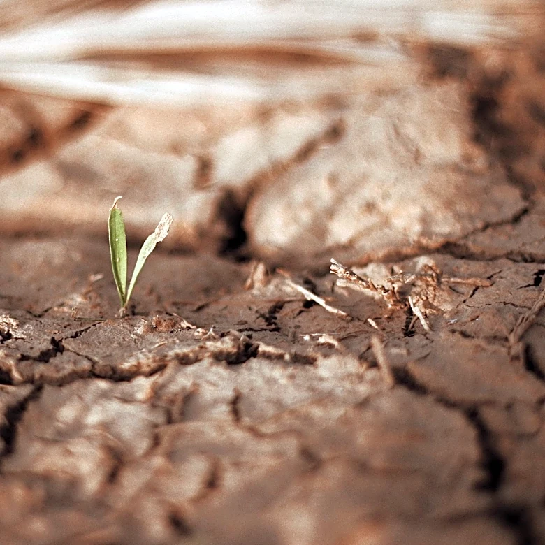 Nebraska Farmers Face Drought Challenges; USDA Offers Assistance