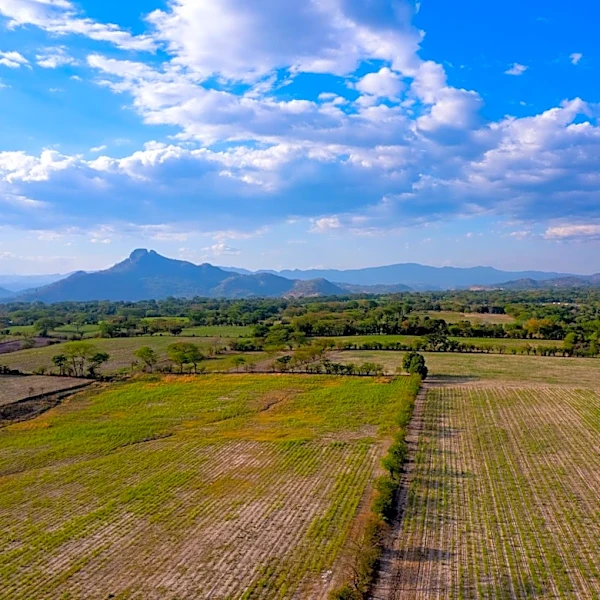 El Niño's Potential Impact on U.S. Agriculture in 2026