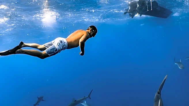 Large Shark Spotted Near Surfer Off California Coast