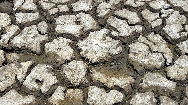 Global Freshwater Decline: Satellite Images Highlight Shrinking Water Sources