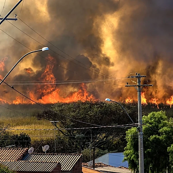 Global Data Centers Face Elevated Climate Risks, Study Reveals