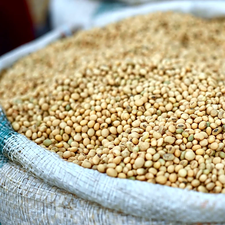 El Niño Threat Could Impact Grain and Soybean Markets