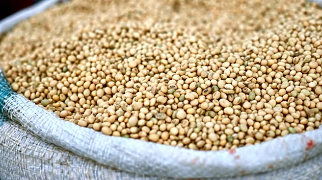 El Niño Threat Could Impact Grain and Soybean Markets