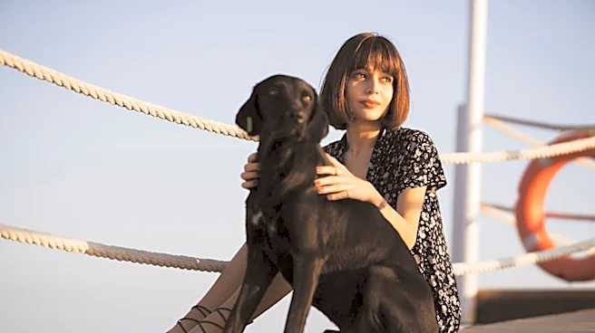 Tips for a Flea-Free Summer for Pets and Homes