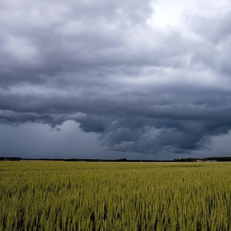 Rain and Hail Impact Farming Operations in Belgrade, Minnesota