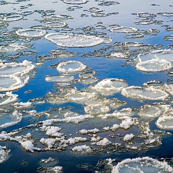 Seasonal Thaw Observed in the Bering Sea Near Alaska