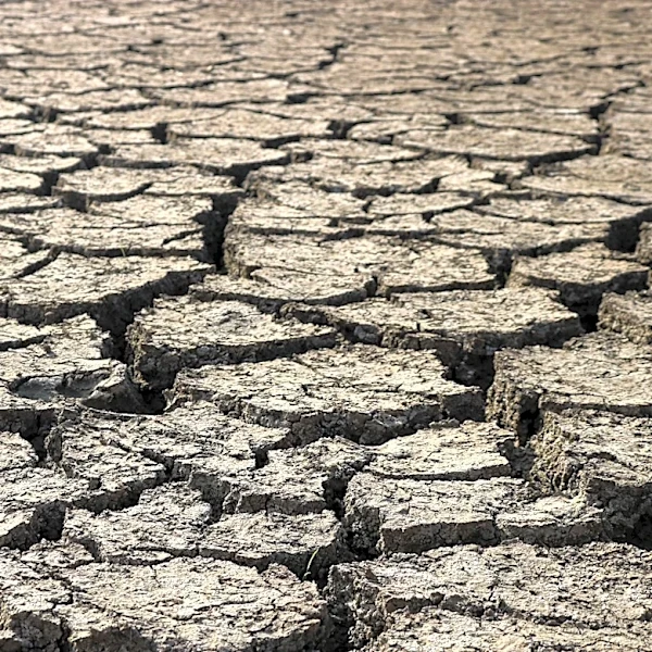 Super El Niño Threatens Global Agriculture and Energy Sectors