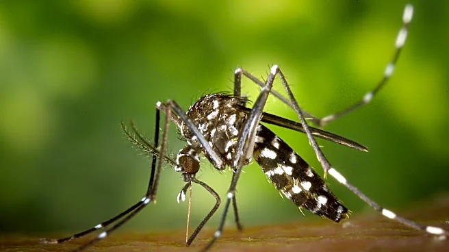 Understanding West Nile Virus and Mosquito Prevention