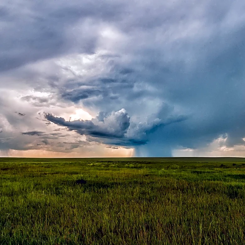 Understanding the Role of Prairies in Climate and Ecosystems