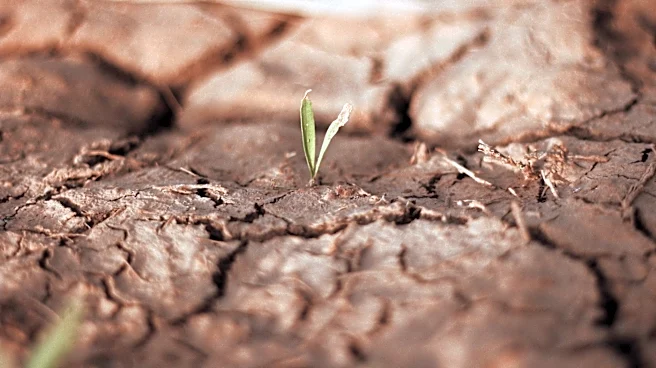 U.S. Ranks Fourth in Global Food Resilience Index