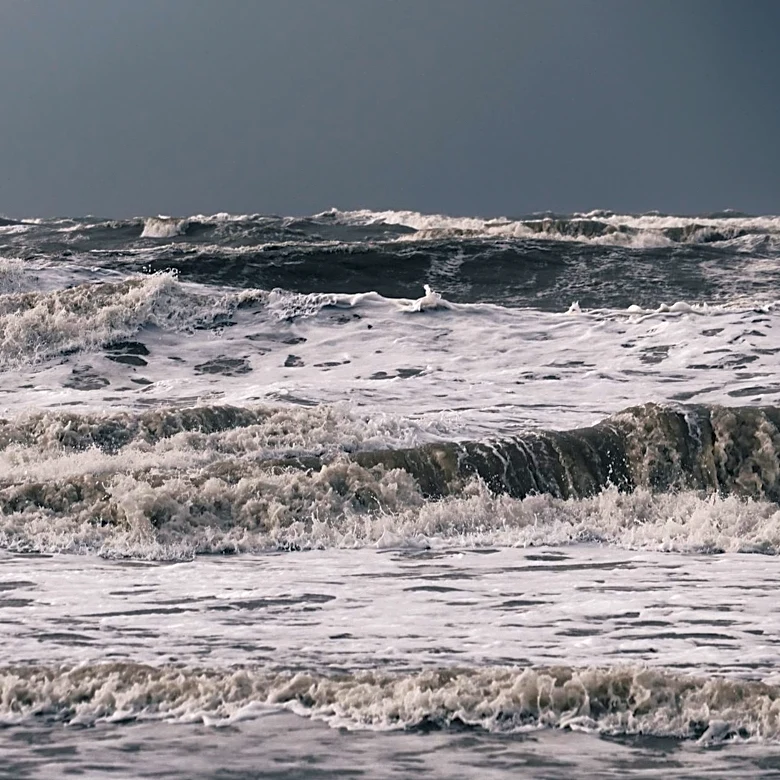 El Niño Returns: Potential for Strong Impact by Late 2026