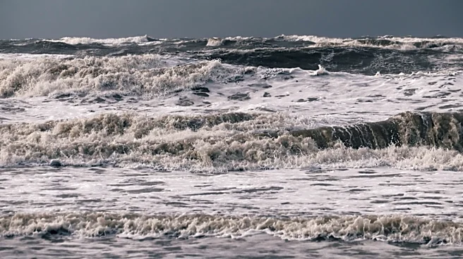 El Niño Returns: Potential for Strong Impact by Late 2026