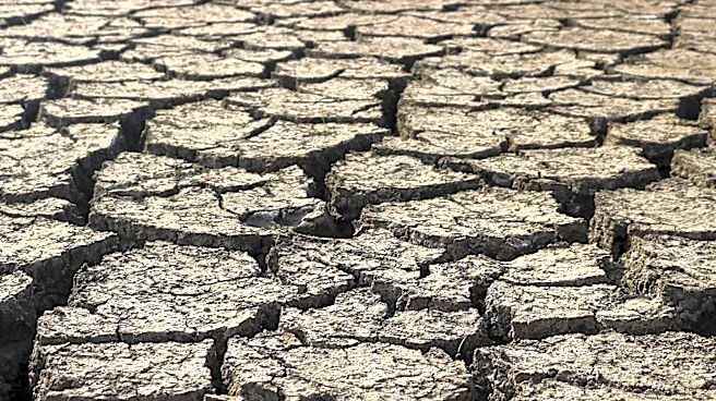 Global Heat Stress Intensifies, Extending Seasons by Up to Two Months