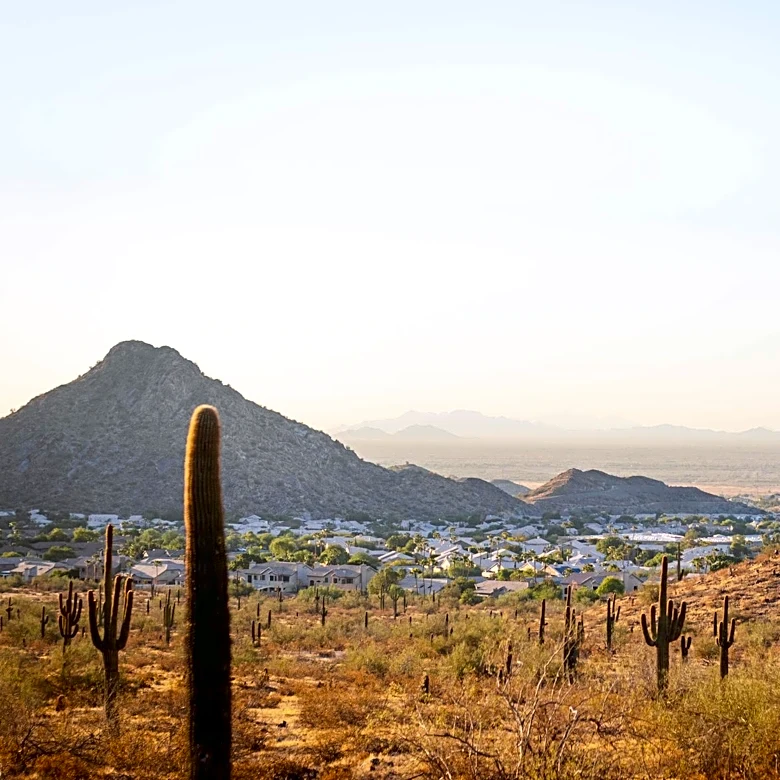Phoenix Tourism Highlights Preservation Amid Rising Popularity
