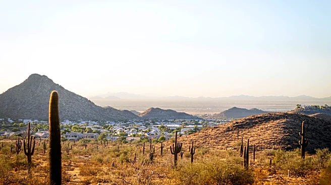 Phoenix Tourism Highlights Preservation Amid Rising Popularity