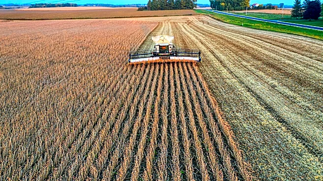 Soybean Research Receives Carr Endowed Creative Inquiry Project Recognition