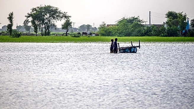 Understanding Protein in Weather and Climate Contexts