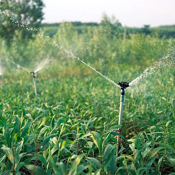 Innovative Water Management Technology Targets U.S. Agriculture