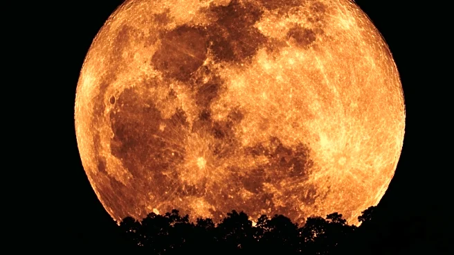 Strawberry Moon to Illuminate Night Sky on June 29
