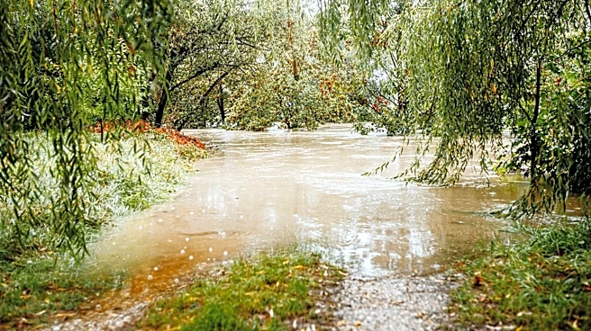 Catastrophic Floods Force Camp Mystic in Texas to File for Bankruptcy