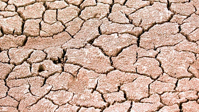 Colorado River Drying Up: Severe Water Shortages Impact Seven States