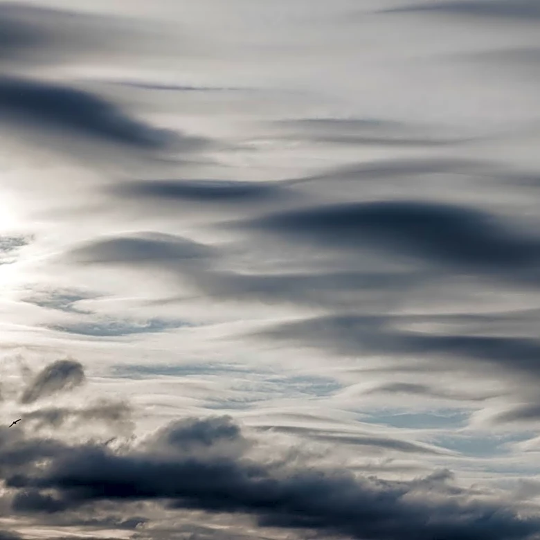 Atlantic Ocean Circulation Weakening Linked to Subarctic Freshening