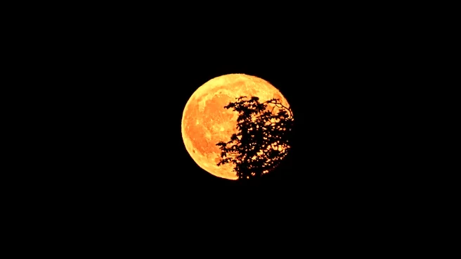 Strawberry Moon to Peak on June 29, 2026