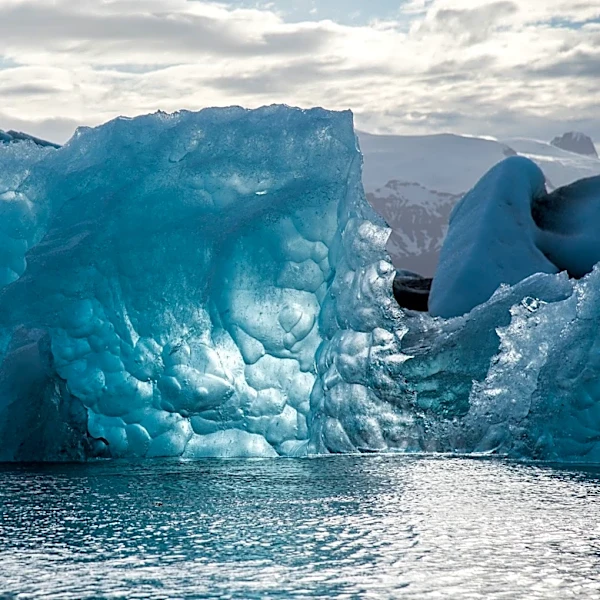 How the North Atlantic 'Cold Blob' Influences European Heatwaves
