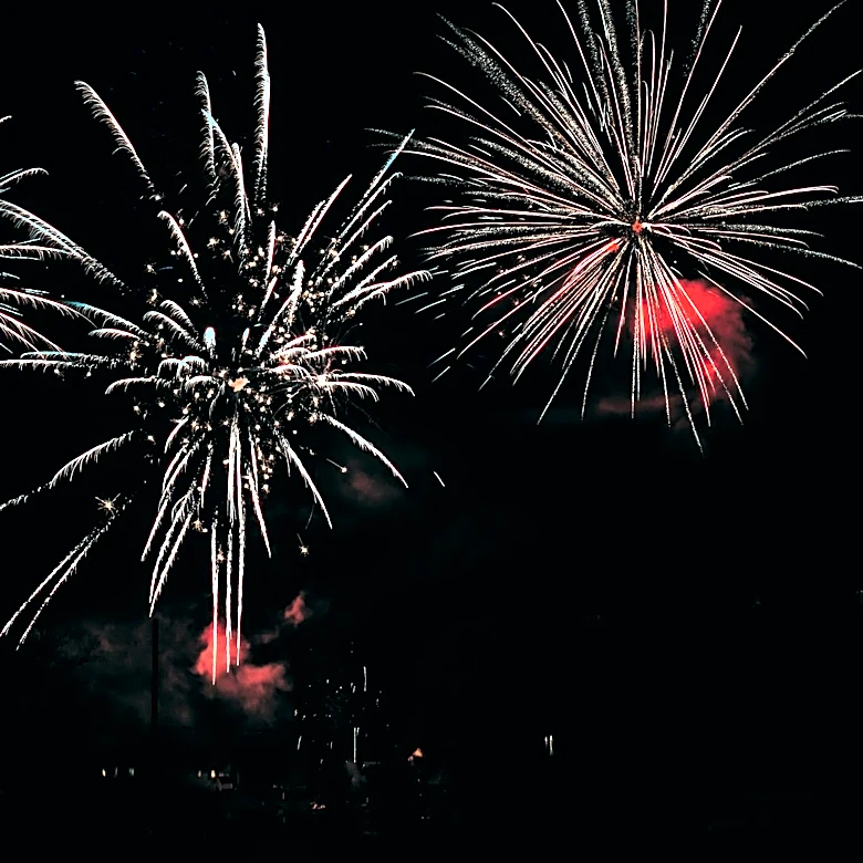 How to Keep Pets Safe During Fireworks and Celebrations