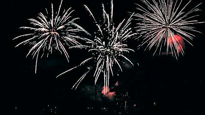 How to Keep Pets Safe During Fireworks and Celebrations