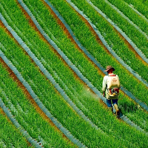 Monsanto Wins Landmark Glyphosate Case at U.S. Supreme Court