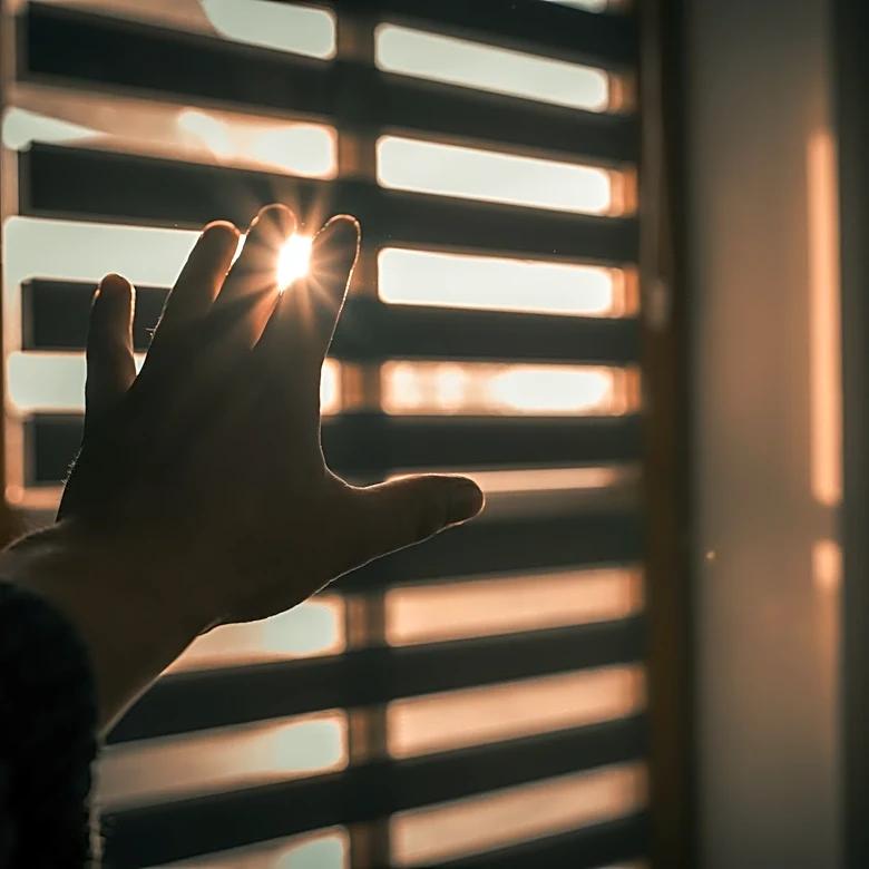 How Daytime Light Exposure Can Support Brain Health