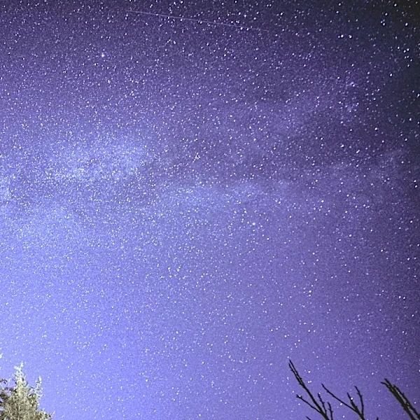 June Bootids Meteor Shower Peaks with Unpredictable Display