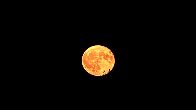 Strawberry Moon to Peak on June 29 at 7:57 PM ET