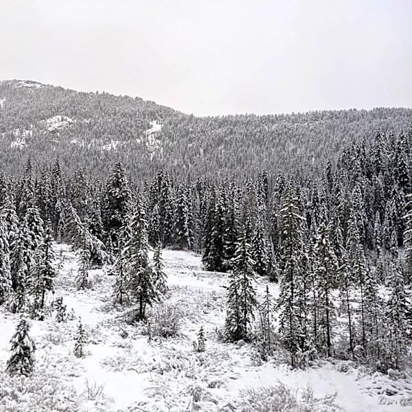 Winter Storm Warning Issued for Georgetown Lake Area