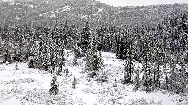 Winter Storm Warning Issued for Georgetown Lake Area
