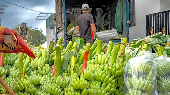 Trade Policies Aim to Boost U.S. Agricultural Exports