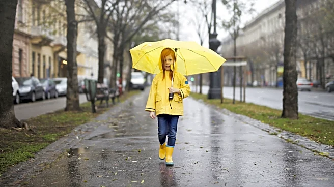 How to Stay Productive and Safe on a Rainy Day