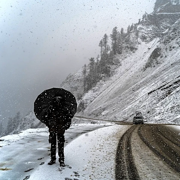 Rare June Winter Storm Brings Heavy Snow to Northern Rockies