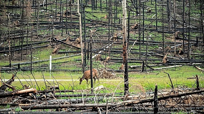 Smoke from Snyder Fire Spreads Across Colorado and Utah