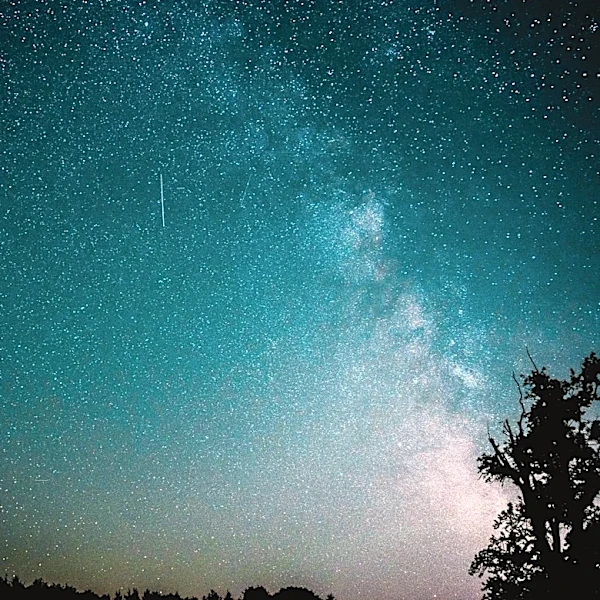 Meteor Lights Up Southeast Louisiana Sky with Bright Flash