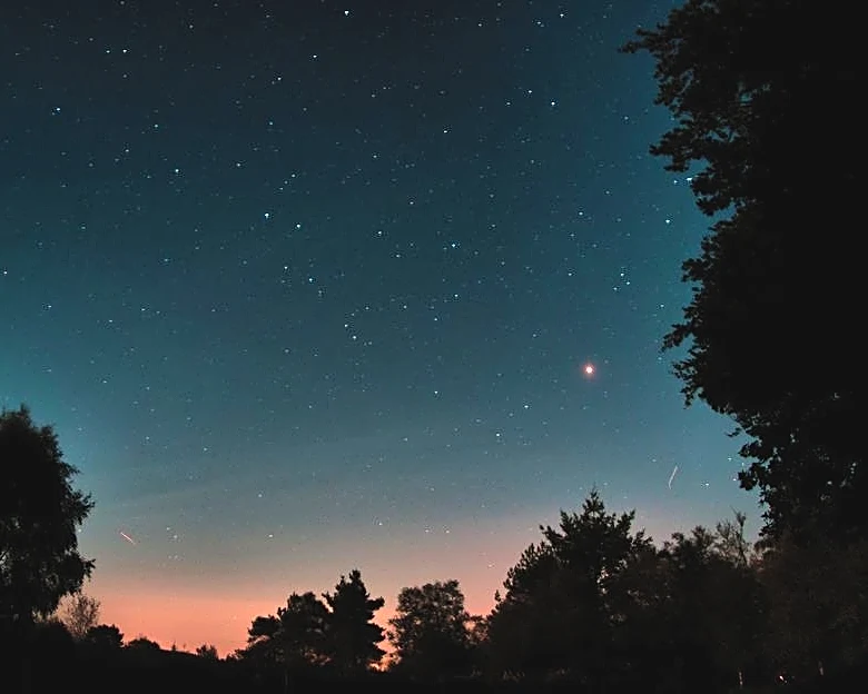 Night Sky Guide: Summer Triangle Is Back to Shine