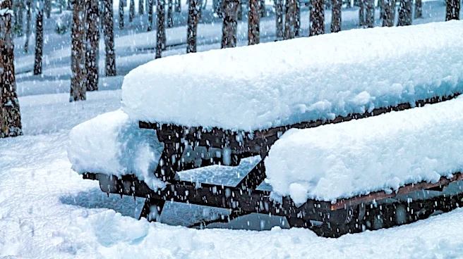 Rare June Snowstorm Hits Rockies with Up to 16 Inches of Snow