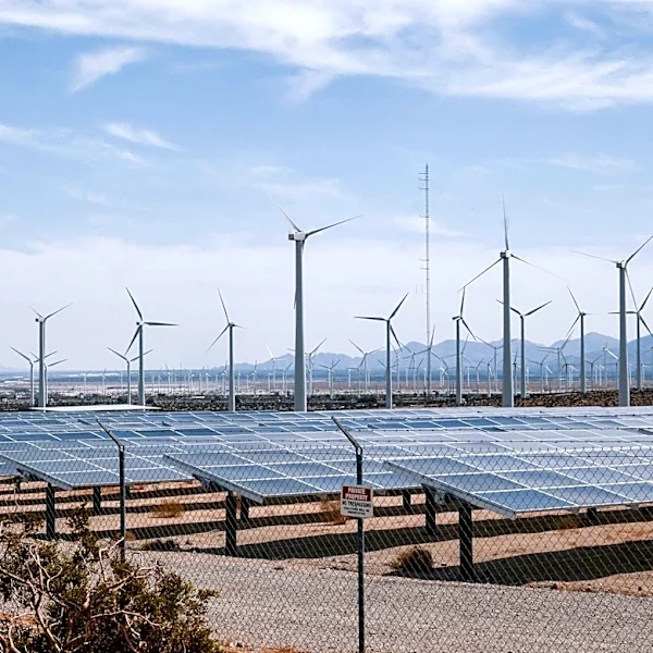 Delays in US Permits Threaten $121 Billion in Renewable Energy Investments
