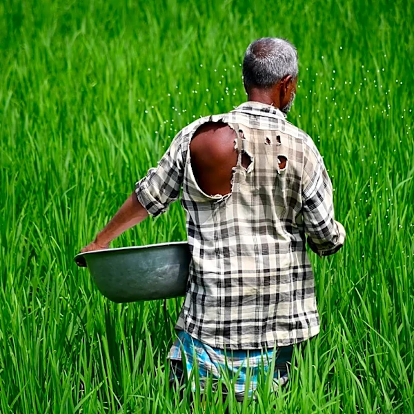 US Agriculture Groups Push for Increased Farm Support Amid Economic Struggles
