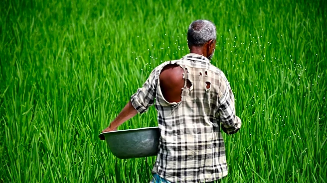 US Agriculture Groups Push for Increased Farm Support Amid Economic Struggles