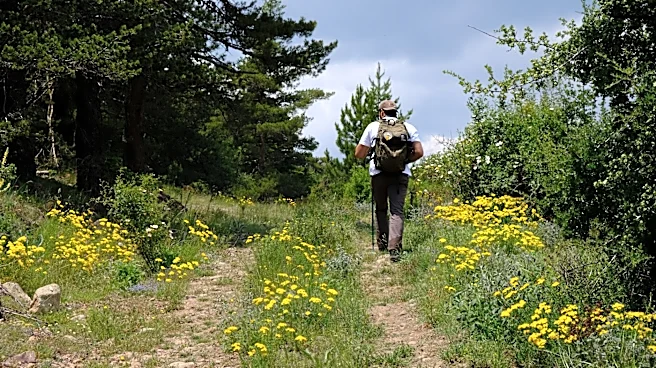 The Environmental and Health Benefits of Walking Outdoors