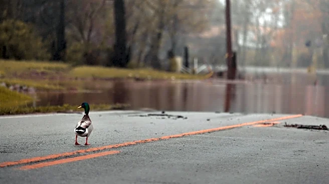 Flood Watch and Heat Advisory Issued for Chesco Area