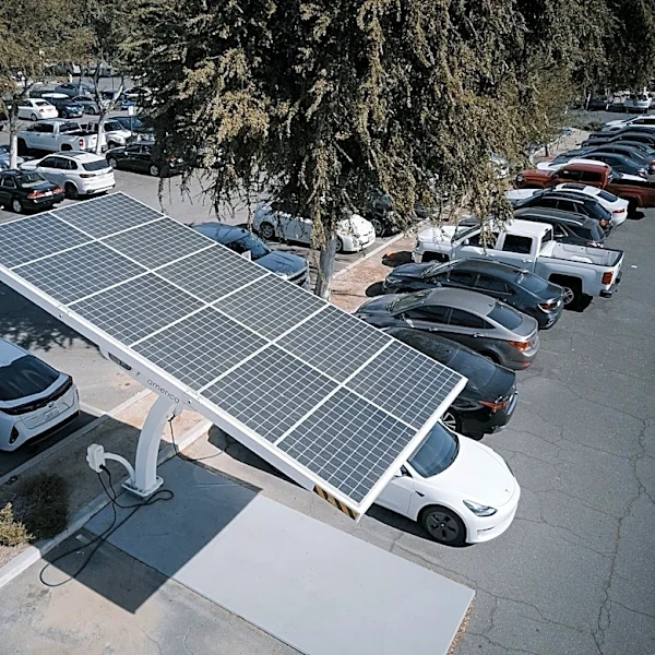 Renewable Energy and EV Adoption Gain Momentum Amid Global Challenges