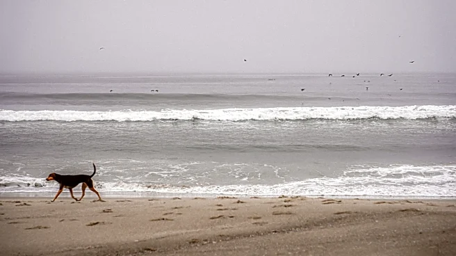 Beach Hazards Statement Issued Along California Coast Amid Mild Temperatures